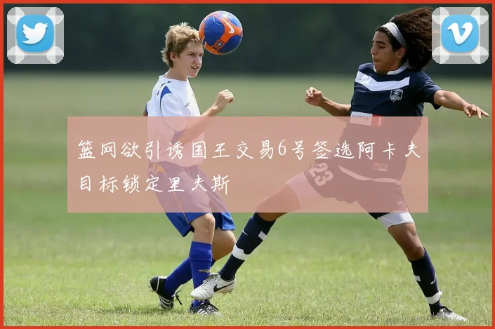 篮网欲引诱国王交易6号签选阿卡夫目标锁定里夫斯