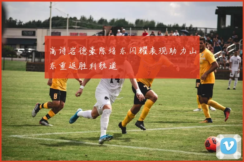 高诗岩德豪陈培东闪耀表现助力山东重返胜利轨道